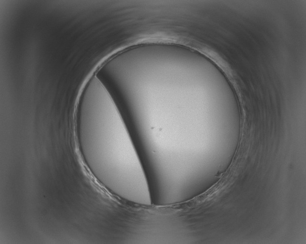 X0000084541008200702230903