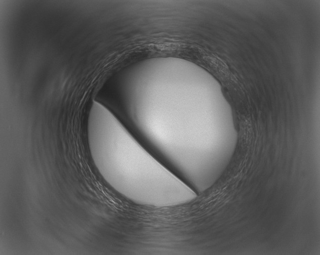 X0000084541009200702230902