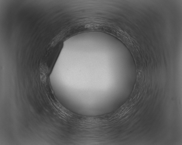 X0000084541012200702230902