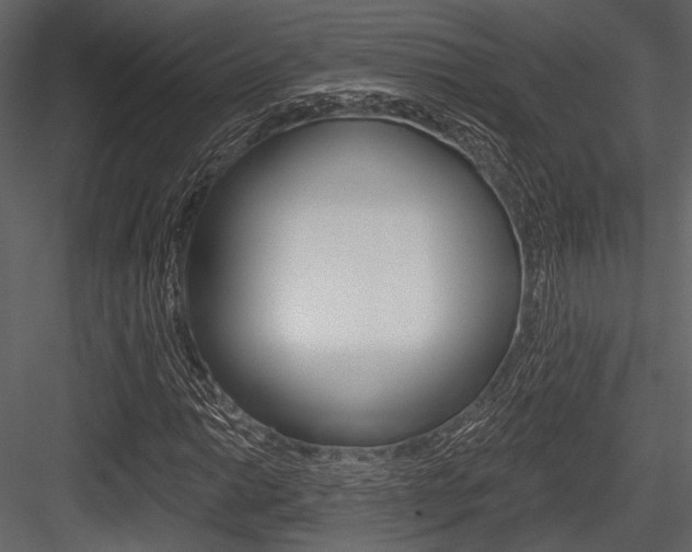 X0000084541014200702230902