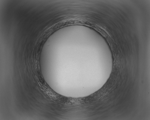 X0000084541015200702230902