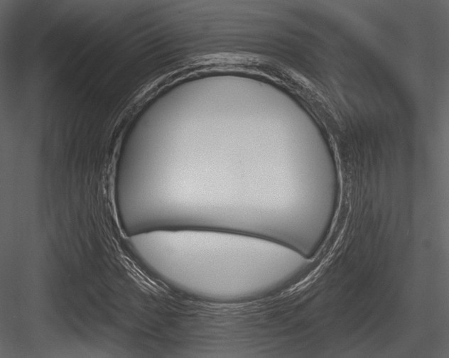 X0000084541017200702230903
