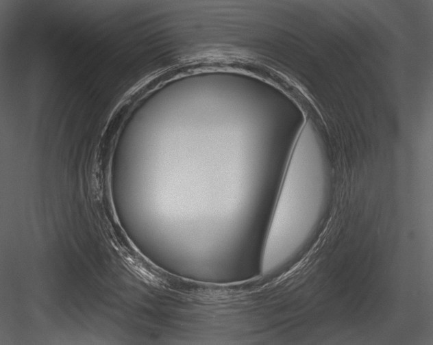 X0000084541018200702230903