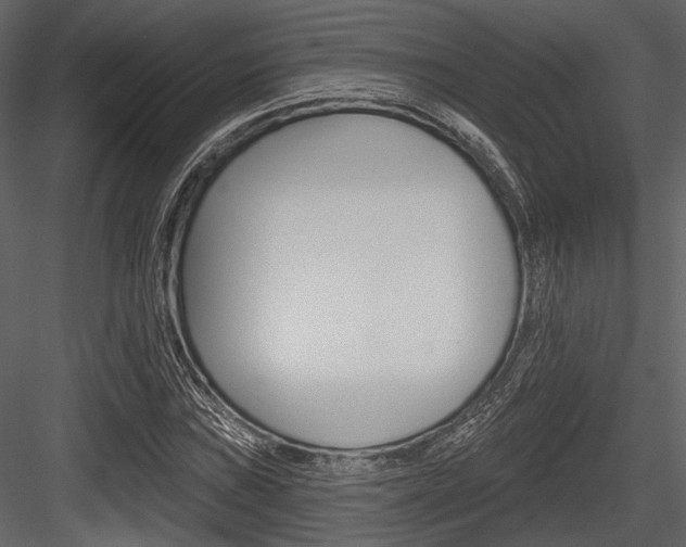 X0000084541019200702230903