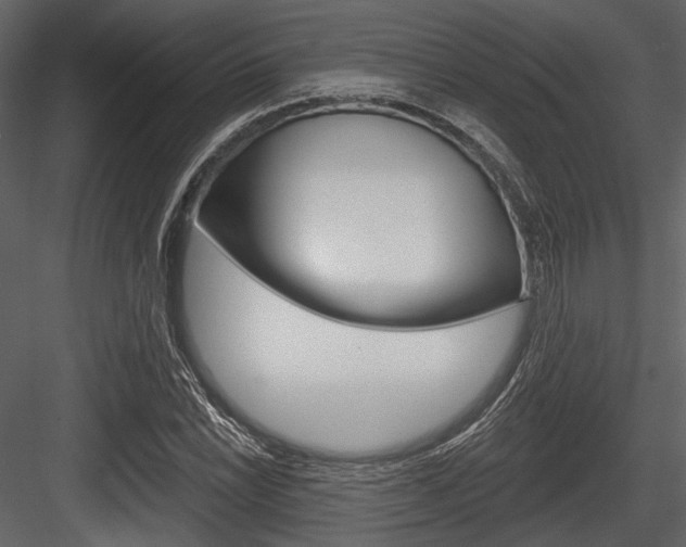 X0000084541022200702230903
