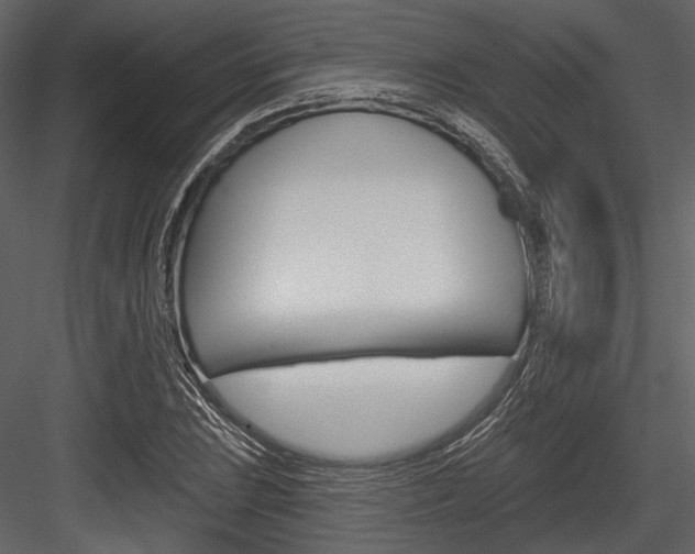 X0000084541023200702230903