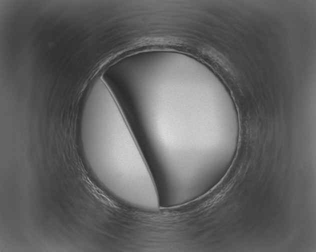 X0000084541025200702230903