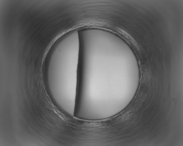 X0000084541027200702230903
