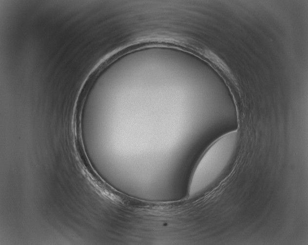 X0000084541028200702230903