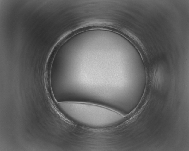 X0000084541029200702230903