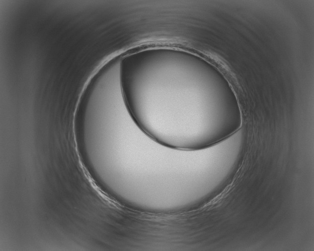 X0000084541030200702230903