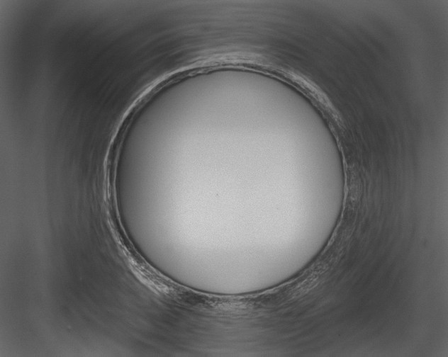 X0000084541031200702230903