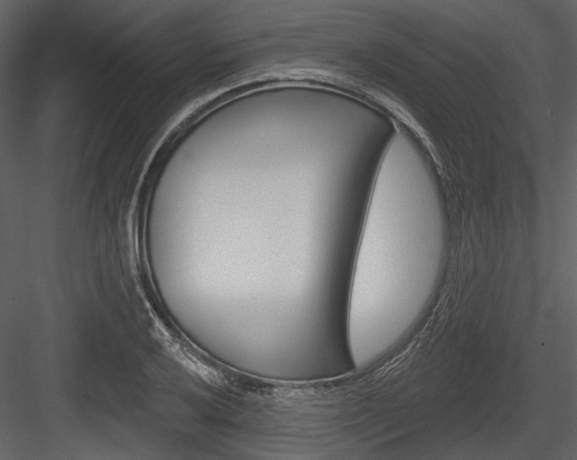 X0000084541032200702230903