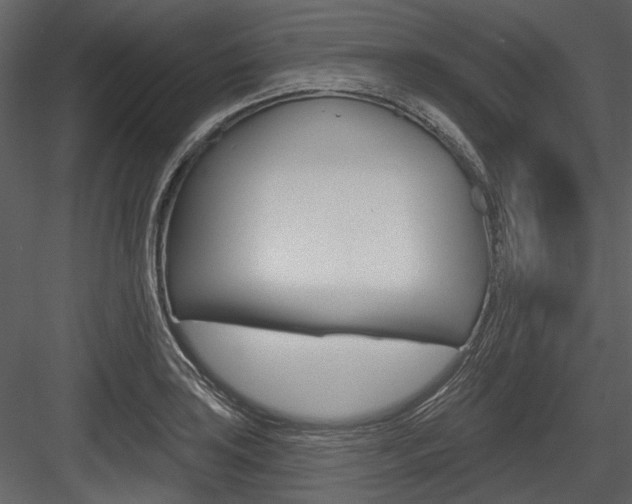 X0000084541035200702230903