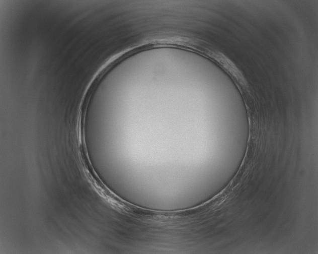 X0000084541036200702230903