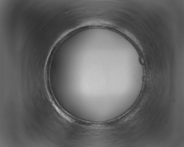 X0000084541037200702230903