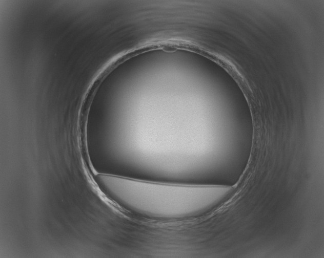 X0000084541038200702230903