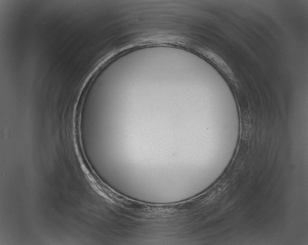 X0000084541039200702230903