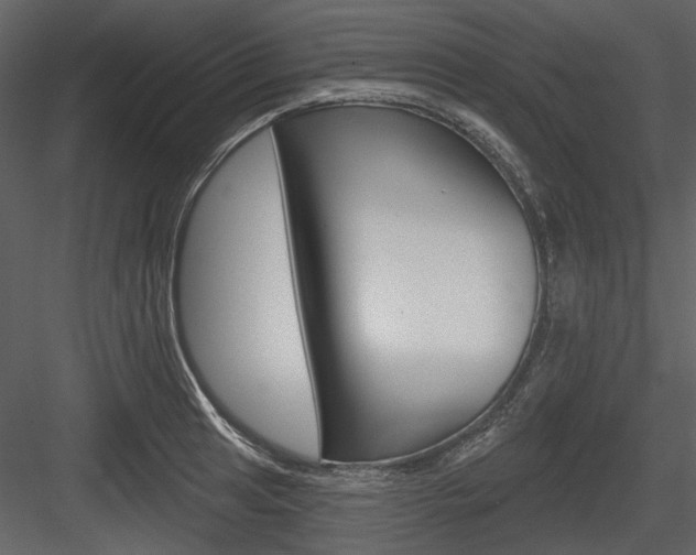 X0000084541041200702230903