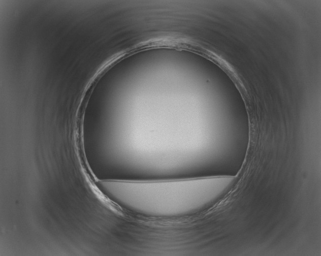 X0000084541042200702230903