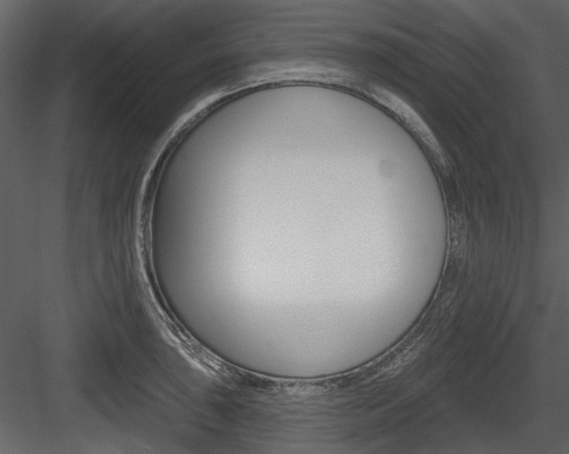 X0000084541043200702230903