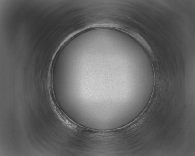 X0000084541044200702230903