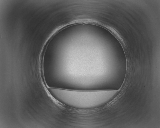 X0000084541046200702230903