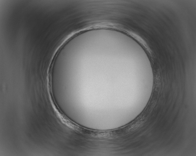 X0000084541047200702230903