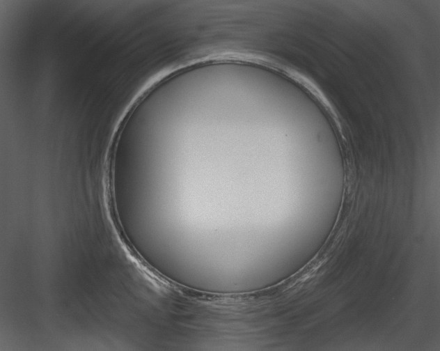 X0000084541048200702230903