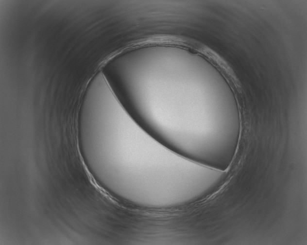 X0000084541049200702230903
