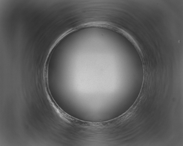 X0000084541050200702230903