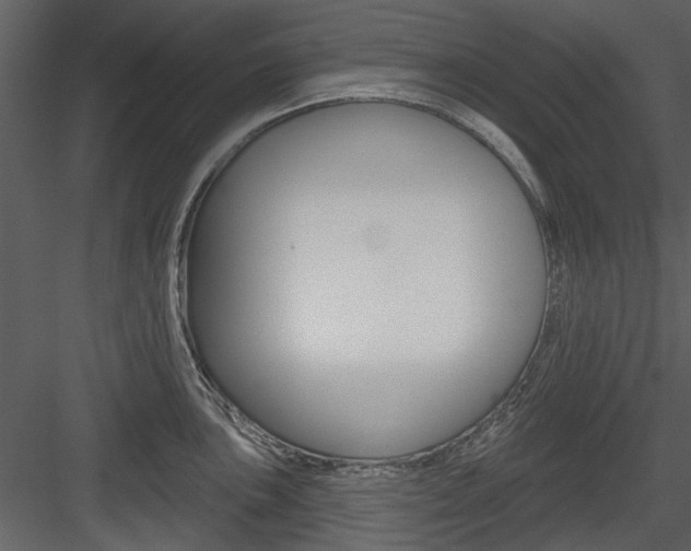 X0000084541051200702230903