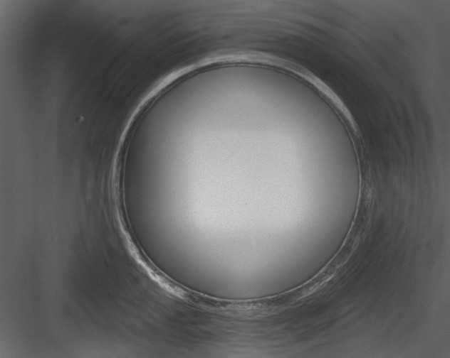 X0000084541053200702230903