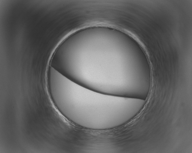 X0000084541056200702230903