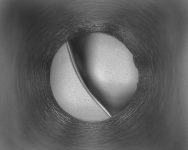 X0000084541058200702230902