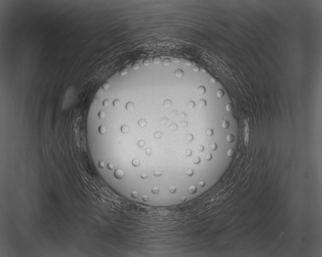 X0000084541059200702230902