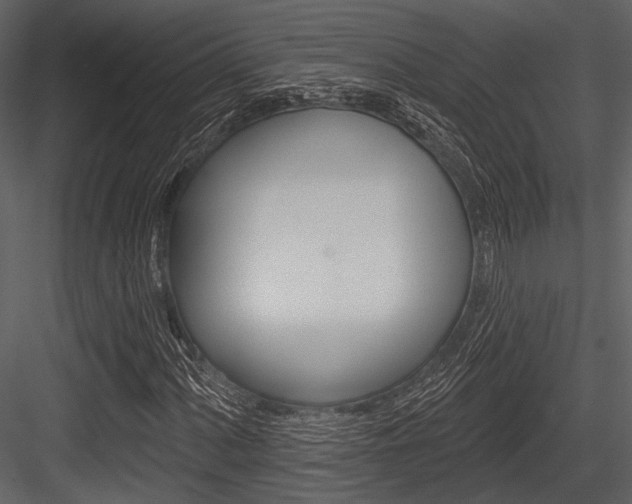 X0000084541060200702230902