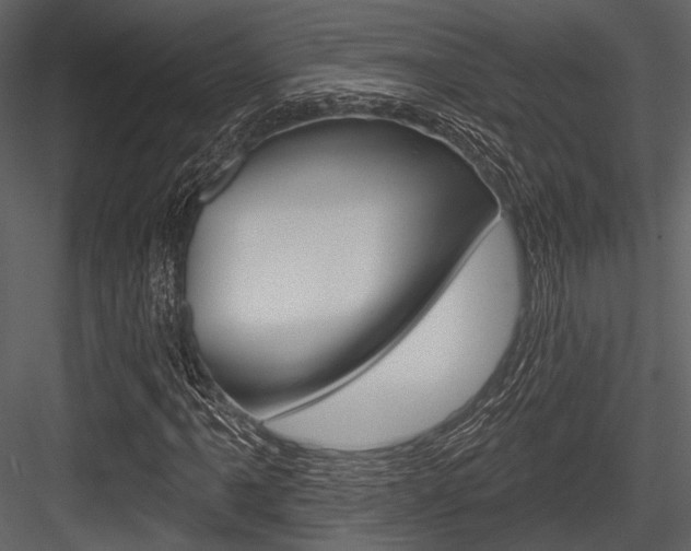 X0000084541061200702230902