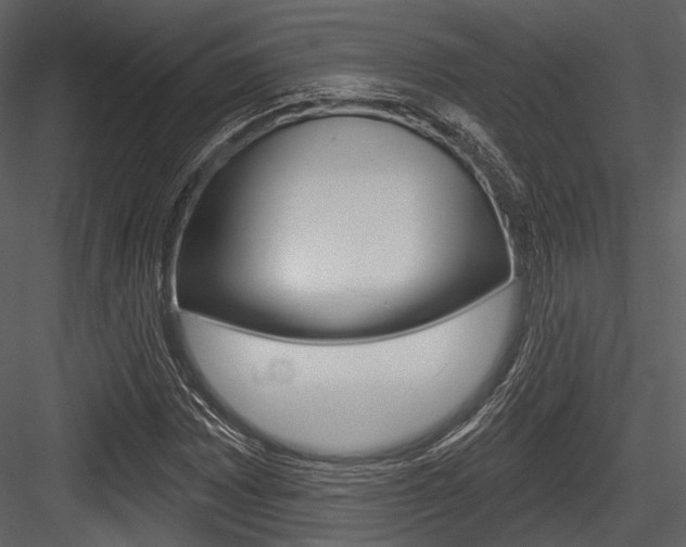 X0000084541065200702230902