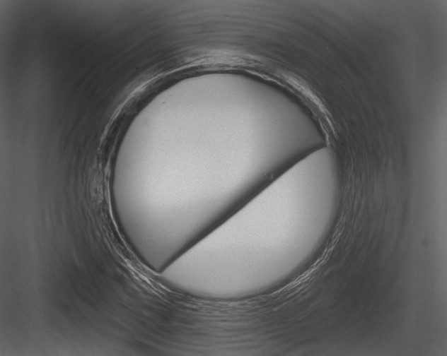 X0000084541067200702230902