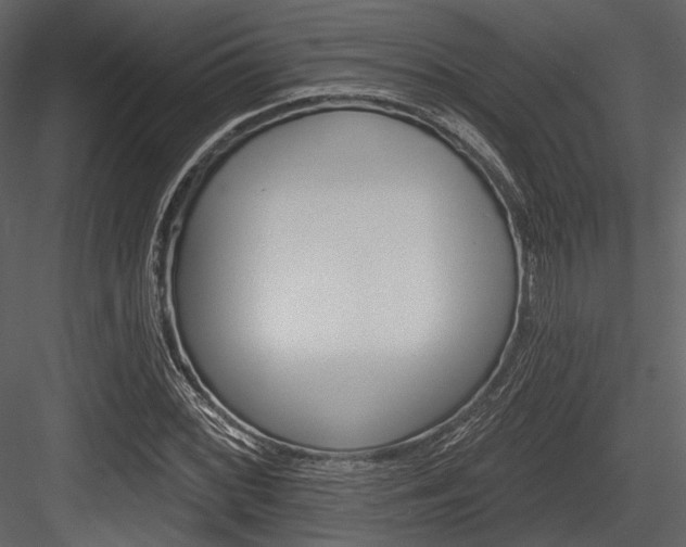 X0000084541068200702230902