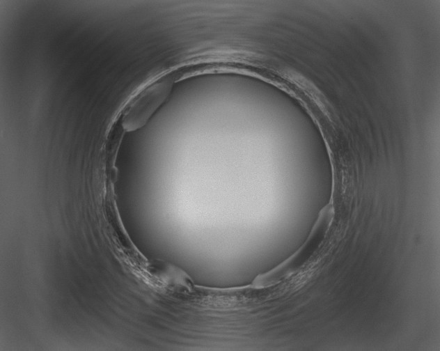 X0000084541069200702230902
