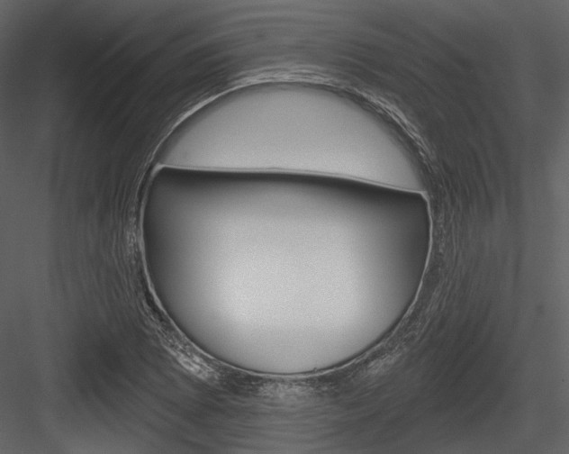 X0000084541073200702230902