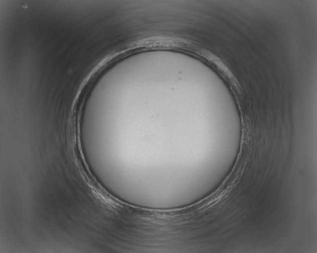 X0000084541075200702230902