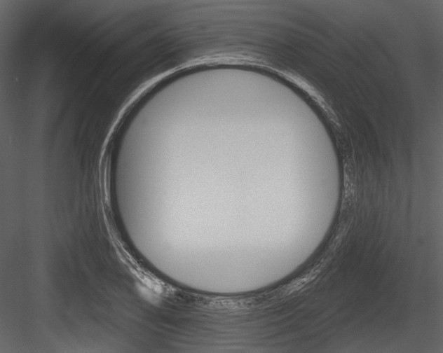 X0000084541078200702230902