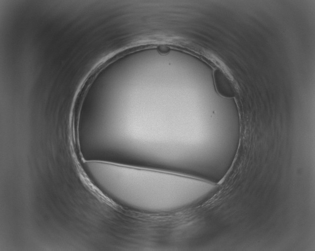 X0000084541080200702230902