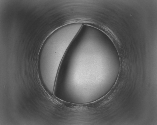 X0000084541081200702230902