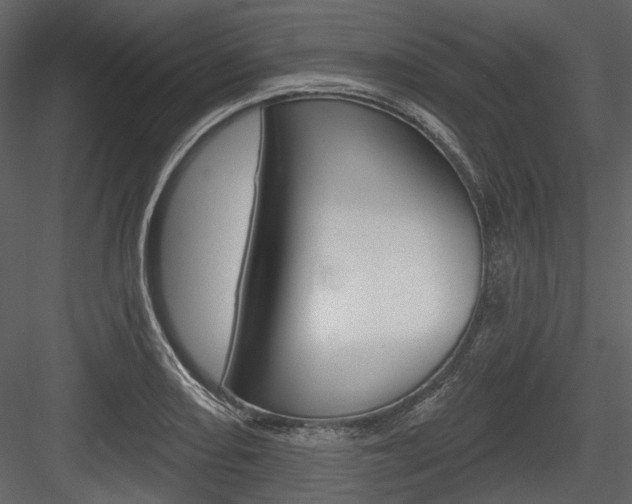 X0000084541082200702230902
