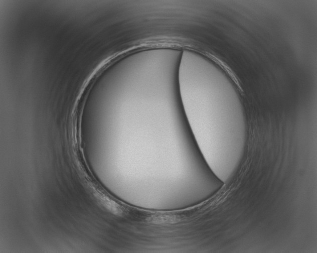X0000084541083200702230902