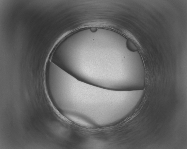 X0000084541087200702230902